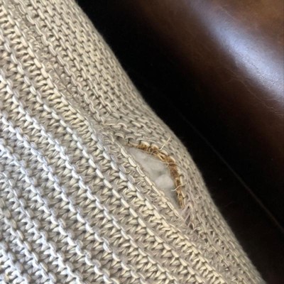 Guest review image 1 of 1, zoom in