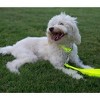 Country Brook Petz Deluxe Nylon Dog Collar and Leash - 4 of 4