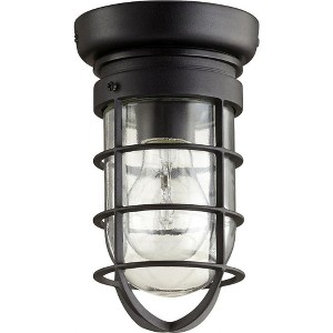 Quorum Lighting Bowery Glass Noir Flush Mount Light - 1 Light, 4.5 Width, 8.25 Height - 1 of 1