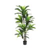 Dracaena Artificial Plant Indoor with Planter, Faux Dracaena Tree No Maintenance, Decorative Tall Fake Plants with Trunks and Realistic Leaves - 2 of 4