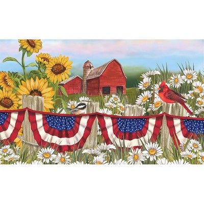 Briarwood Lane Doormat 30x18 Indoor Outdoor America the Beautiful Summer For Summer Doormat
