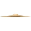 SABIAN AA Holy China Brilliant 21 in. Brilliant - 2 of 3
