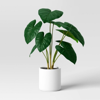 Alocasia Artificial Plant - Threshold™