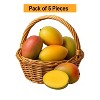 Radyan Fresh Green Mango – Crisp, Tangy & Delicious - 4 of 4