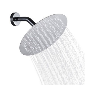 WOWOW 1-Spray Patterns with 1.8 GPM 8 in. Wall Mount Rain Fixed Shower Head in Brushed Nickel - 1 of 4