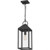 Quoizel Lighting Thorpe 1 - Light Pendant in  Mottled Black - 4 of 4