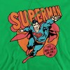 Dc Job For Me Adult Pull-Over Hoodie - 2 of 4