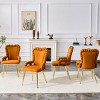 Set of 2 Modern Velvet Dining Chairs with Metal Legs, Upholstered Accent Arm Chairs for Kitchen, Dining Room, or Living Areas-Panipeachy - 3 of 4