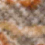 orange, rust, burnt orange, dark brown, medium gray