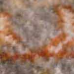 orange, rust, burnt orange, dark brown, medium gray