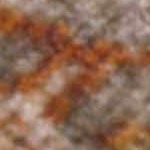 orange, rust, burnt orange, dark brown, medium gray