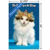 Trends International Keith Kimberlin - Kitten - Queen Unframed Wall Poster Prints - 3 of 4