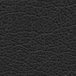 seth freakin rollins