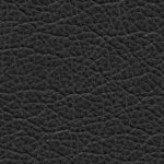 seth freakin rollins