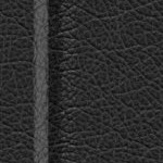 seth freakin rollins