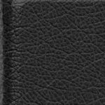 seth freakin rollins