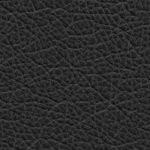 seth freakin rollins