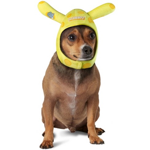 Cheesehead hat hot sale for dogs