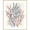 Amanti Art Seaweed Swirls II by Aimee Wilson Wood Framed Wall Art Print - 4 of 4