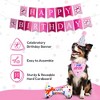 Pacific Pups Products Dog Birthday Party Set - 5 Piece Kit for Birthday Party for Dogs - 4 of 4