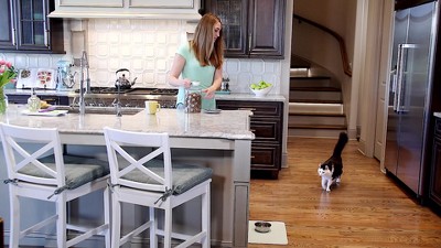 PetSafe Black Automatic Feeder with Stainless Steel Bowl