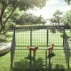 Gulches 31.7 H Tall Metal Dog Playpen Black with 8 Panels Heavy Duty for Large & Medium Breeds & Active Pets - 4 of 4