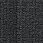 philadelphia phillies