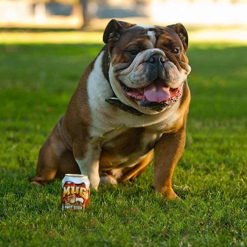 Mug Root Beer Bulldog