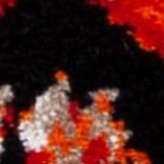 red/orange