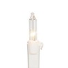 Northlight 50ct Mini Christmas Decoration Lights Clear - 10' White Wire - image 4 of 4