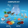 Joyfy DIY Unicorn/Dinosaur Crystal Terrarium Kit - Grow Your Own Crystals with 12-Color LED Night Light, STEM Science Gift for Kids Age 8+ - 2 of 4