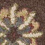 mauve, black, red, darkbrown, palepink, darkred