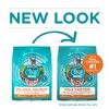 Purina ONE Ideal Healthy Weight High Protein Natural Turkey Flavor Dry Cat Food - 7lbs - 3 of 4