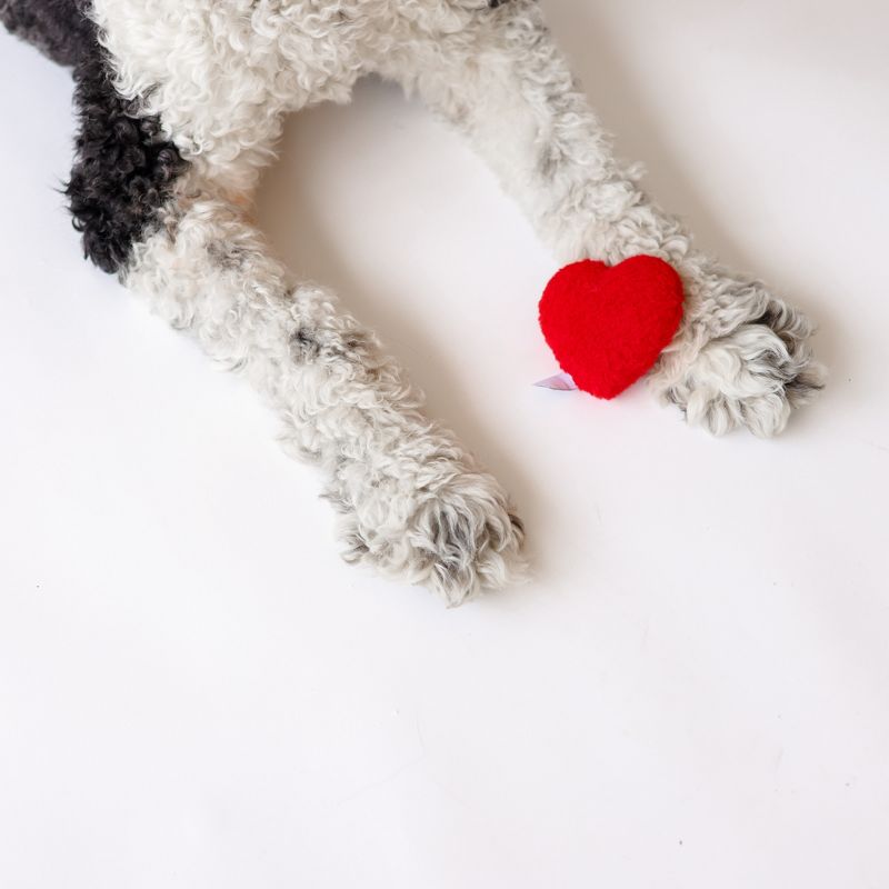 Plush Red Heart Valentine's Day Dog Toy, 3 of 10