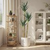 Coucheta Artificial Tree, 5.3Ft/63In Faux Agave Plant, 3 Heads in Plastic Pot Fake Tree £¬for Home Decor Indoor or Outdoor Office - 3 of 4