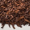 Leather Shag LSG601 Handwoven Rugs - Safavieh - 3 of 3