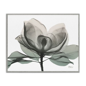 Stupell Industries White Magnolia Flower Green Silhouette Framed Giclee Art, Gray, 20" x 16" - 1 of 4