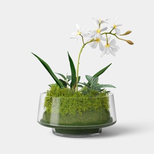 Orchid Glass Terrarium - Threshold™ : Target