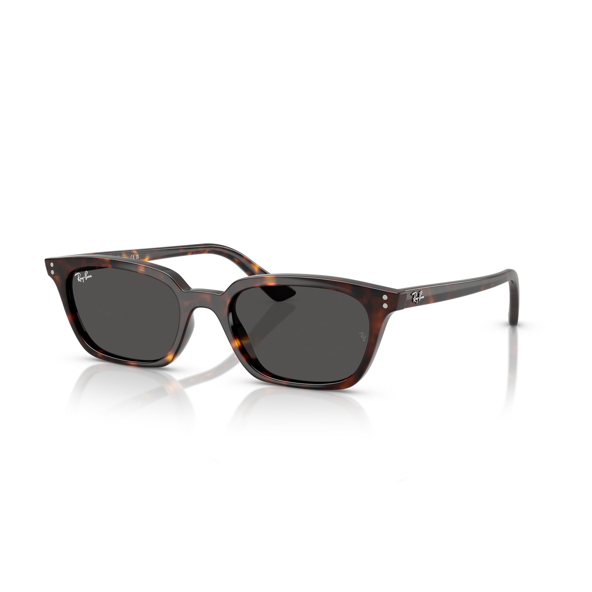 Ray-Ban RB4456 M Unisex Injected Sun Dark Grey