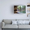 Trademark Fine Art -Mike Jones Photo 'Alabama Caney Creek Veil' Canvas Art - 2 of 4