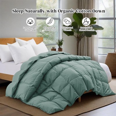 Puredown All Season Organic Cotton Down Comforter - 100% Natural, Chemical-Free, Medium Warmth Duvet Insert