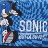 Sonic The Hedgehog Gotta Go Fast Youth Blue Snapback Hat - 4 of 4