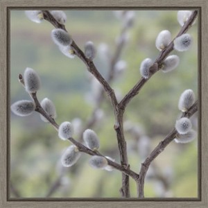 Amanti Art Willows I by Jaynes Gallery Danita Delimont Canvas Wall Art Print Framed 16 x 16-in. - 1 of 4