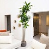 Nearly Natural 8-ft Artificial Dracaena Tree with Real Touch Leaves - 4 of 4