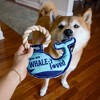 Pavilion Gift Company - Whale-y Loved - 8" Canvas Dog Toy on Rope - Pet Toy - 2 of 4