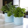 Bloem Mathers Round Resin Planter Pot Indoor and Outdoor Gardening - 2 of 4