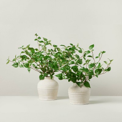 Best Terra Cotta & Artisan Vases at Target