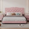 Full/Queen Size Velvet Upholstered Platform Bed with Rivet Design Tufted Headboard 4A - ModernLuxe - 2 of 4