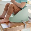 Ity by Ingenuity My Spot Easy-Clean Baby Booster Seat Feeding Chair - 3 of 4