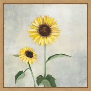 Amanti Art Sunny Blooms I (Sunflower) by Julia Purinton Canvas Wall Art Print Framed 16 x 16-in. - 1 of 4